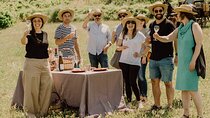 Montserrat Private Tour, Lunch & Wine Tasting in Penedes Winery 