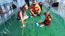 Clear Boat Ride with City Tour in Los Cabos