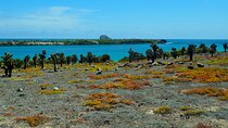 4-Day Wildlife Tour in Santa Cruz Island