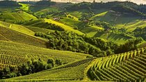 One Day Private Tour of Alba City of Wine and Truffles