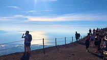 From Rome: Door to door transfer to Positano with stopover in Pompei 3 hours.