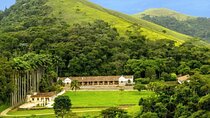 Rural Coffee Farm Tour with Breakfast & Lunch - Roasting & Tasting Experience 
