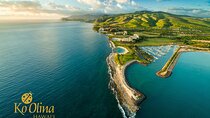Honolulu Airport & Ko Olina Hotels Private Transfer by Minivan (up to 5 people)