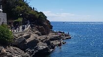 Guided Excursion Elba Island - Full Day