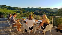 From Bologna: Wine Tasting and Vineyard Tour with the winemaker