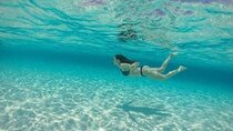 Basic Snorkel Experience at Cancun! Round Transportation Included