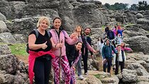 From Naples: Private tour of Pompeii, wine tasting & lunch 
