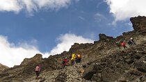 Private Trek Mountain Kilimanjaro via Shira Route