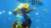 Scuba Doo Diving Scooters in Punta Cana