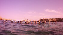 Safari snorkeling tour in Menorca