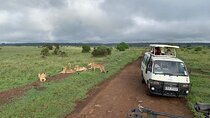 Nairobi national park Elephant orphanage and giraffe center tour.