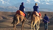 Sunset Camel Ride in Agafay Desert