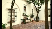 Alcazar, Cathedral And Santa Cruz Private Tour