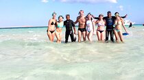 Snorkeling on Ras Mohamed and White Island in Sharm El Sheikh