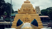 Journey to the Jyotirlinga: Mallikarjuna Temple Day Tour