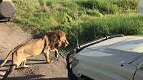 4-Day Safari to Tarangire, Serengeti and Ngorongoro from Arusha - Join a group