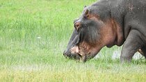 Amboseli national park Private Day Safari