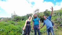 Hike Antigua Tour - Conquer the Hill