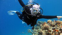 Excursion to Tiran Island by boat
