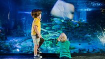 SEA LIFE Aquarium Grapevine Admission Ticket