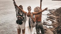 Private 12 Apostles, Otways & Great Ocean Road Hiking Tour from Melbourne