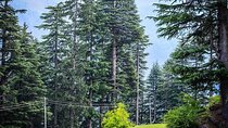 Magical Manali Honeymoon Package
