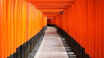 Kyoto Afternoon Tour (Round Trip from Kyoto)