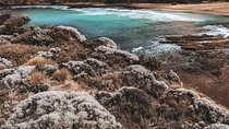 Private Mornington Peninsula Hike and Hot Springs Tour