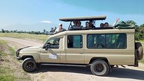 5 Days Special offer, 1Nt Nairobi,1Nt Nakuru, and 2Nts Maasai Mara
