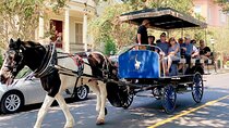 Charleston Horse & Carriage Historic Sightseeing Tour