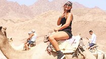 Extreme day trip 7×1 in Sharm el SHEIKH 