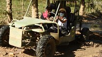 Punta Cana Buggy with Cave Dip, Mamajuana Tasting & Macao Beach