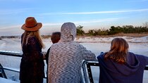 Nature Boat Tour with Certified Naturalist in Charleston