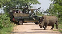 Kruger National Park sunrise Morning Private safari