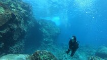 Private Guided Shore Dive