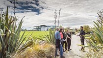 Private tour from Auckland - Waitomo Glowworm Caves, Zealong Tea & Kiwi Bird