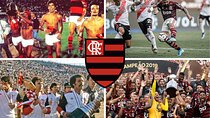 Half-day visit to Flamengo Soccer Stadium and Panoramic Tour