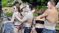 Sulphur Springs Mud Bath and Toraille Waterfall Tour with Creole Lunch