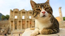 Ephesus Full Day Tour From Izmir