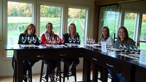 Visit Niagara Falls and experience a VIP Wine Tour