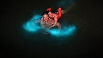 Mystic Lagoon Night-Time Cruise and Swim from Montego Bay & Trelawny