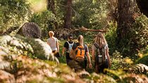 Yanchep Ultimate Adventure Guided Hike Tour