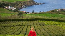 Furnas Volcano, Lake, Geysers, Tea Plantation and Terra Nostra