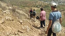 Jaipur Trekking and Hiking Tour with Guide