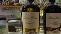 Private Cheese and Wine Tasting Experience in Sofia