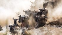 3-Day Private Safari in Maasai Mara from Nairobi