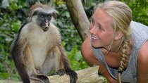 Private Tour to Jozani Forest Reserve Half-Day Guided Tour from Zanzibar