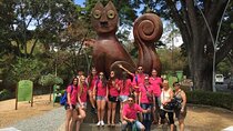 Walking Tour
