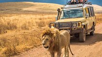 4 Days Group Joining Camping Tanzania safari 