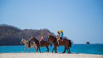 Horseback Riding on the beach 